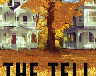 STAR TRIBUNE BOOK REVIEW: “The Tell,” by Hester Kaplan